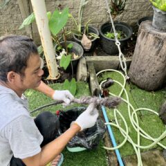 ชักโครกกดไม่ลง