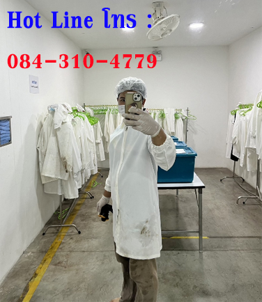 ท่อเมนตัน